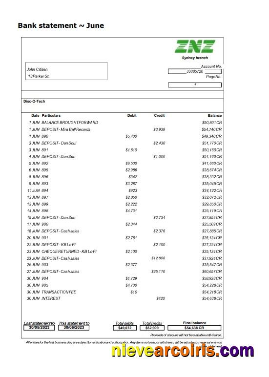 Sydney ZNZ bank statement Word and PDF
